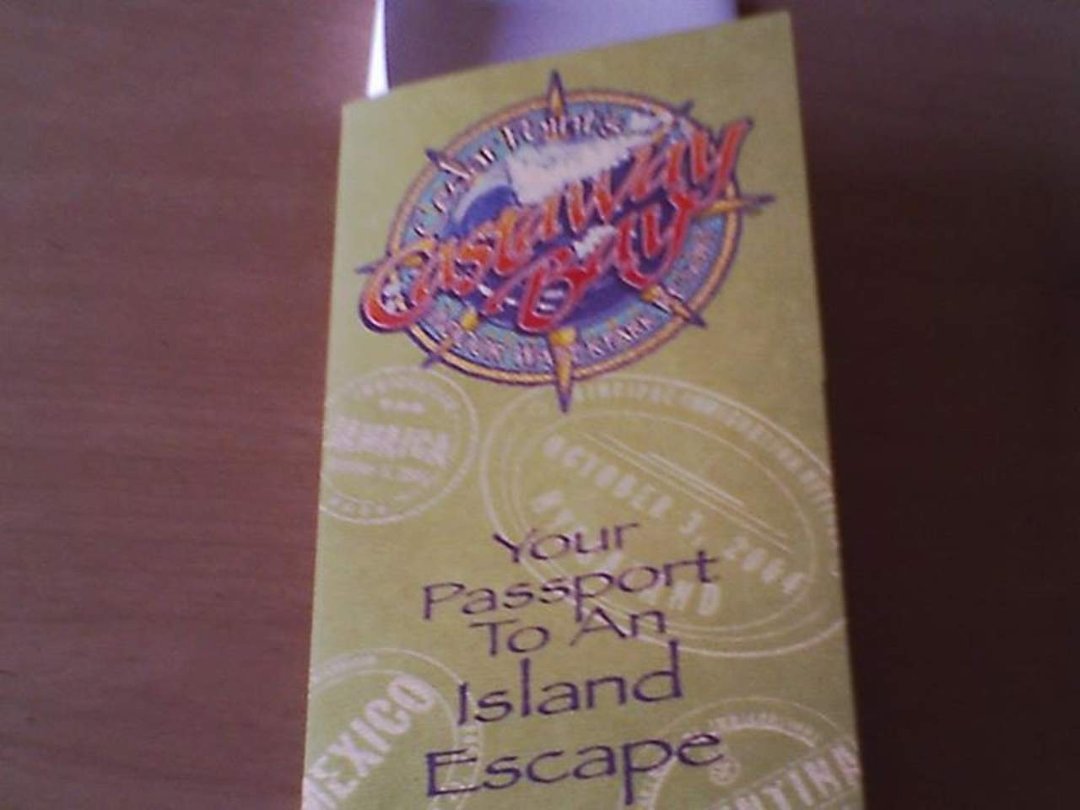 amanda mims' album, cedar point vacation