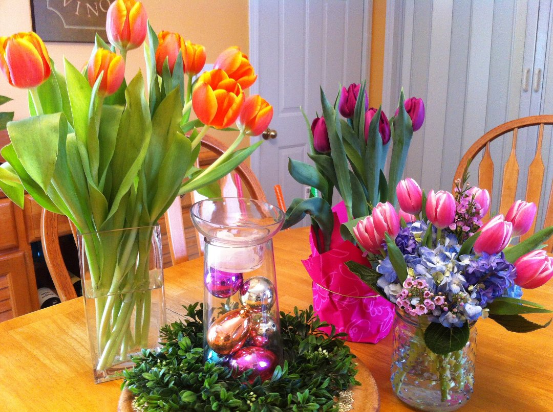 Susan Lovasco's album, Cover Photos