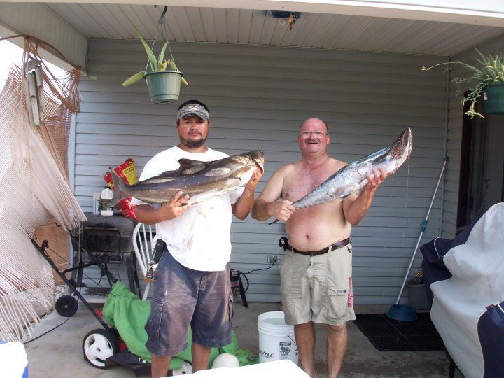 Jose Ojeda's album, fish