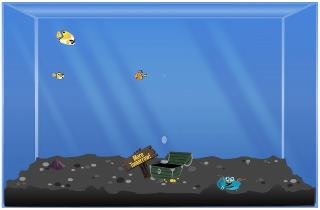 Laura Arney's album, Happy Aquarium photos