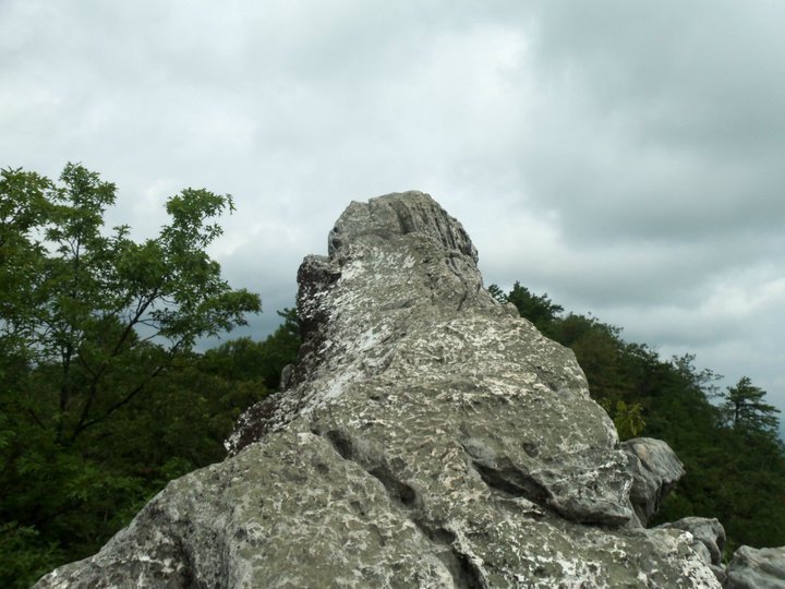 Craig Wickmann's album, Third AT tripAugust 13, 2011