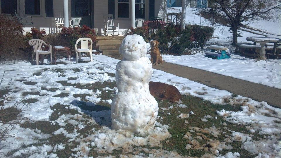 Rachel Fitzgerald's album, My First Snowman