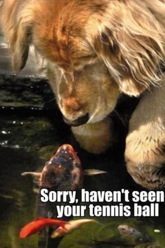 John Cassaboon's album, Timeline Photos