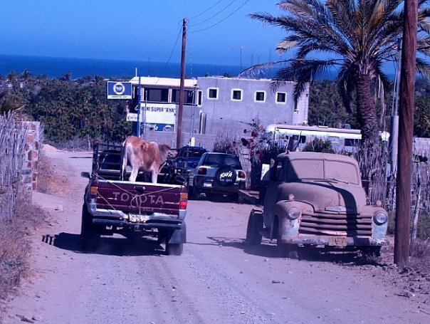C. Allison Smyth's album, mexico