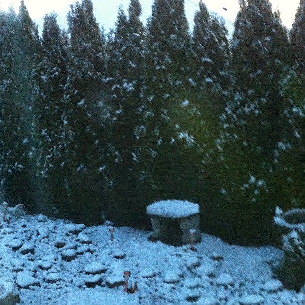 Judy Hanson's album, Instagram Photos