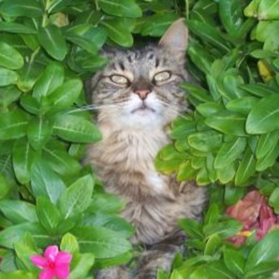 Debra Powell's album, Profile Pictures