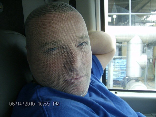 David Dachniewiewicz's album, Profile Pictures