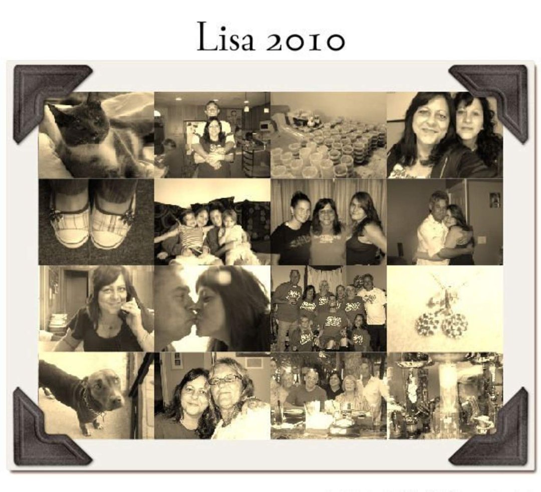 Luiza Alves' album, Profile Pictures