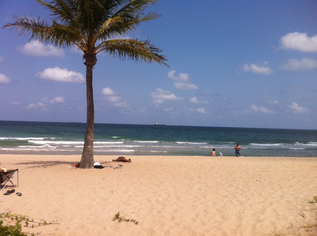 Sharon Roth's album, Cover Photos