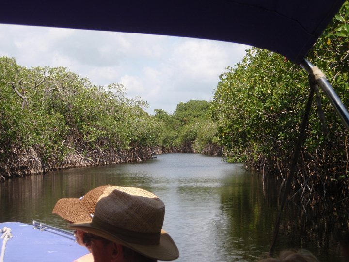 Scott Avery's album, Belize April 2010