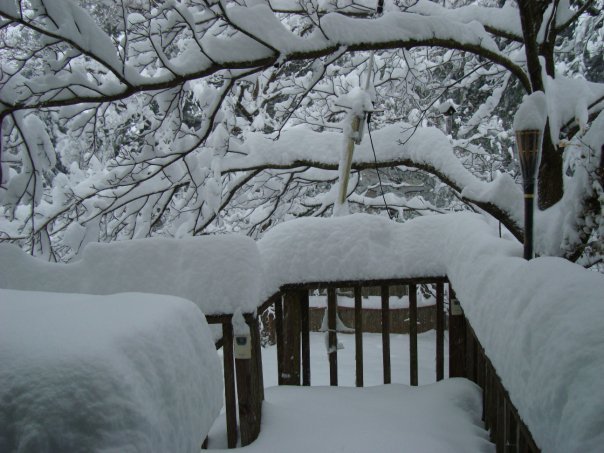 Donald Swan's album, Snow_Feb_2010