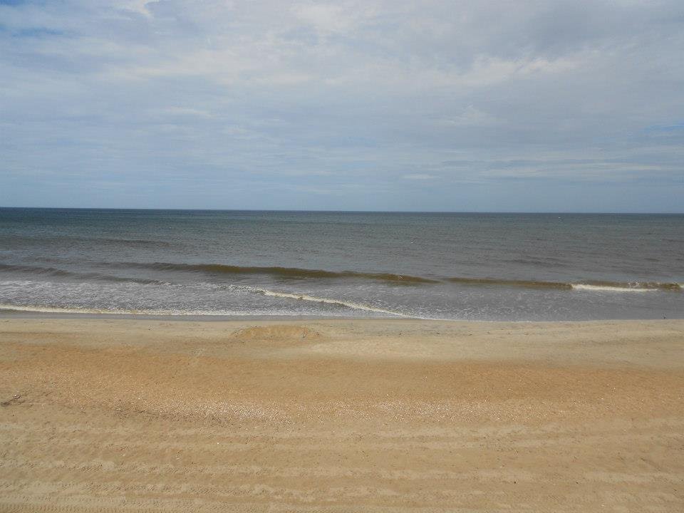 Susan Potter's album, OBX 2012
