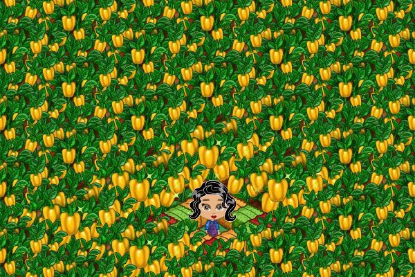 Loriann Wenzel's album, FarmVille Photos