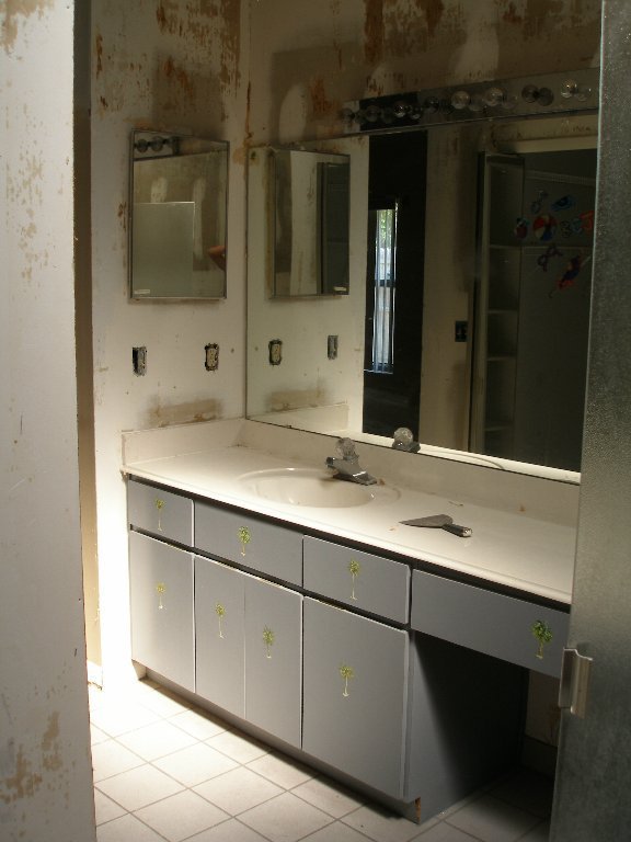 Mary Klemonsky's album, Rehab house
