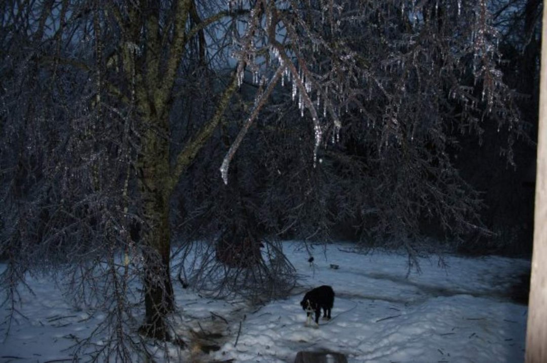 James Wicker's album, Christmas Ice Storm 2009