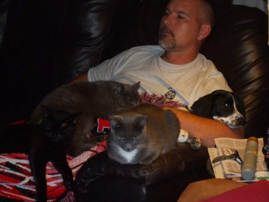 Alan Caudell's album, Profile Pictures