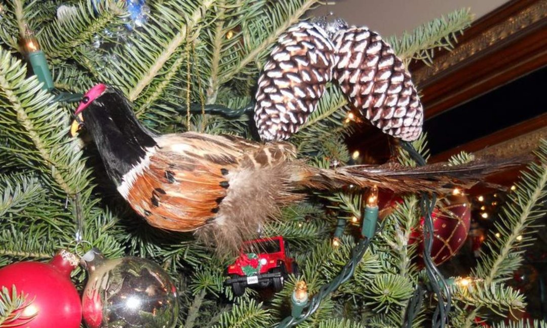 Cynthia Rawlins' album, Christmas 2010