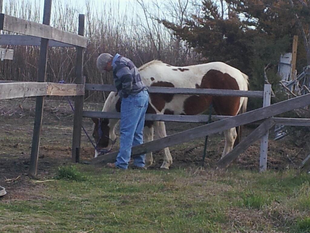 Deb Stover's album, Mobile Uploads