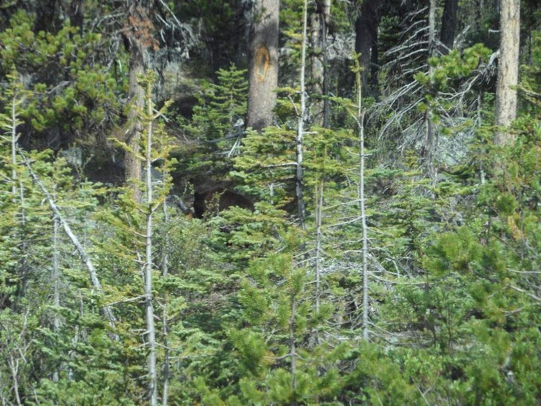Jane Bedard's album, Alaska