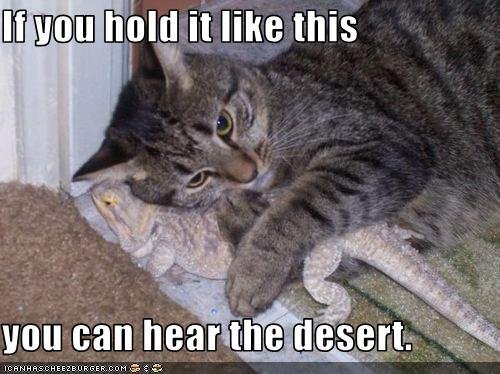 Patricia Singleton Holzman's album, Timeline Photos