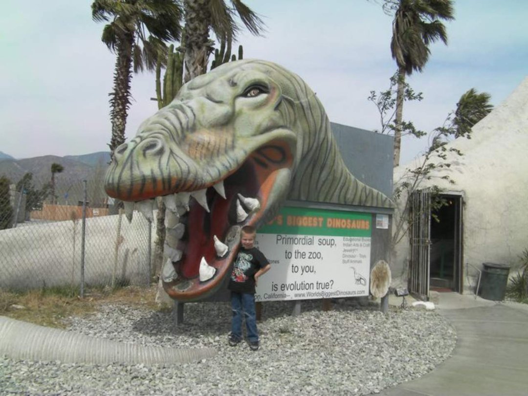 Terri Ellert's album, Cabezon dinosaurs
