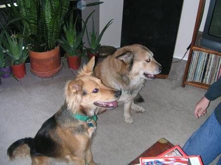 Ted Barker's album, January 24, 2011