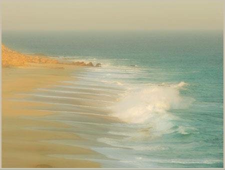 Michael Garvey's album, Cover Photos