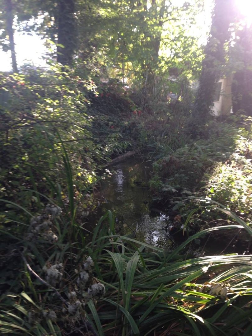 James Hackett's album, iOS Photos