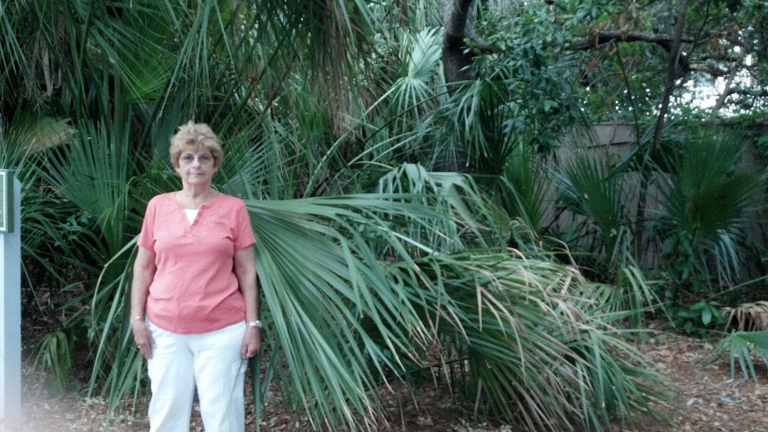 Jamie Brooks' album, Mobile Uploads