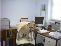 Janet Judice's album, Profile Pictures