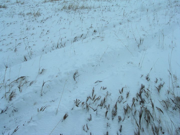 Douglas Glover's album, Hunting trip to MT 11/10