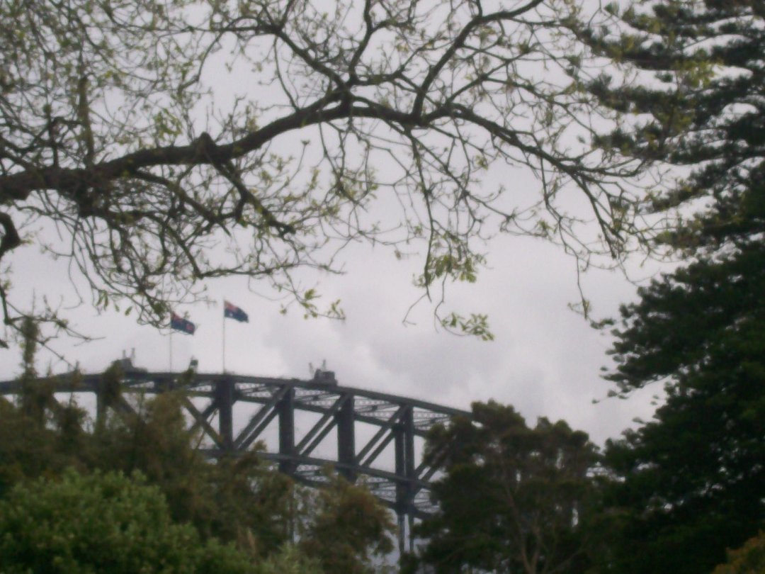 tim flinn's album, sydney1