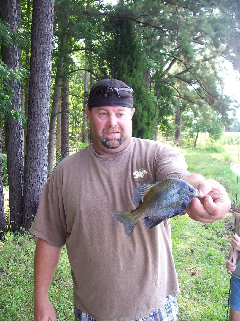 Tim Gurganus' album, Profile Pictures
