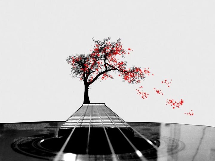 Stacey Eide's album, Music
