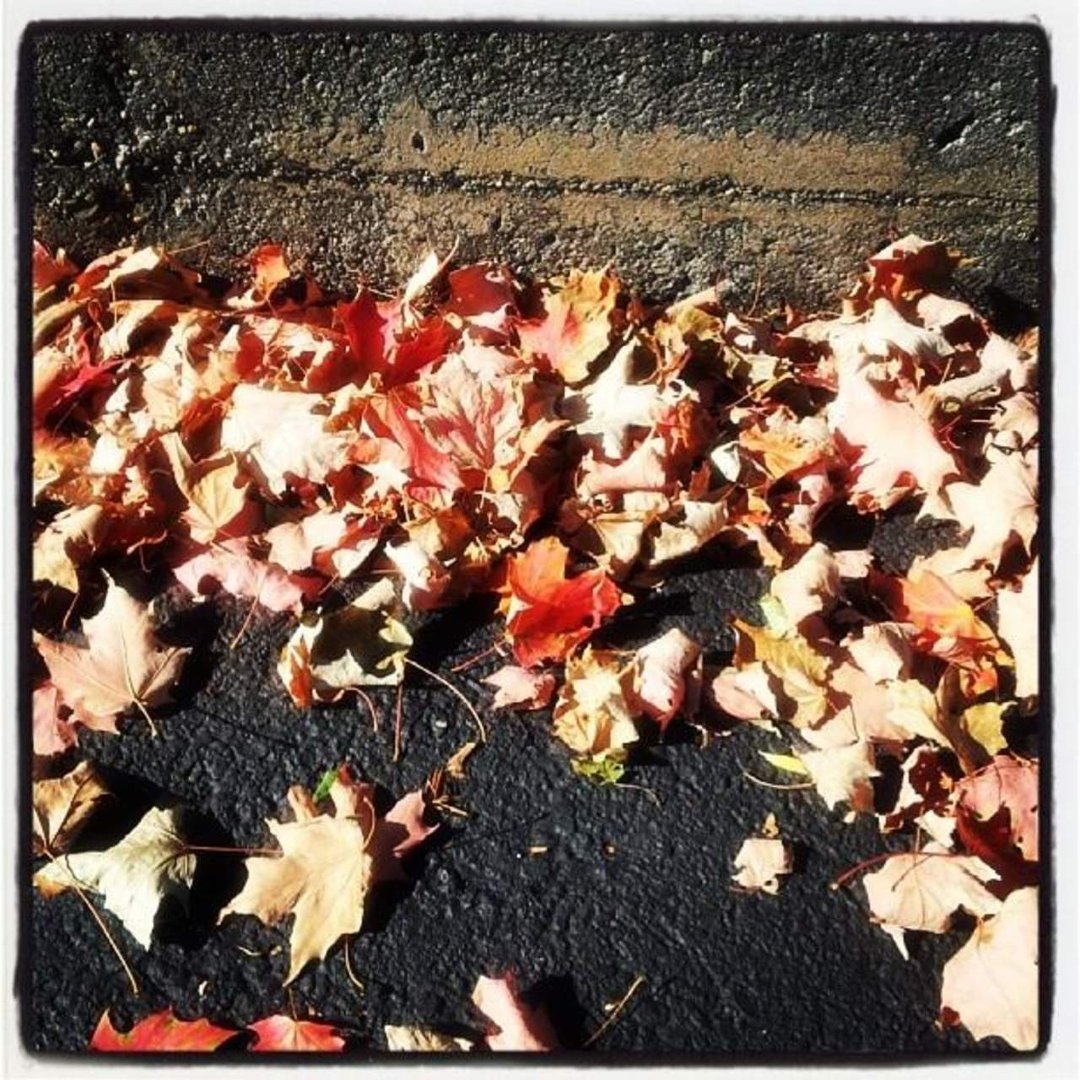 Andrea Caruso's album, Instagram Photos