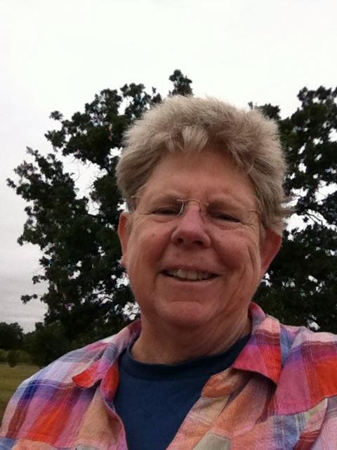 Julia Wise's album, Mobile Uploads