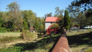 Elizabeth Perdue's album, Cover Photos