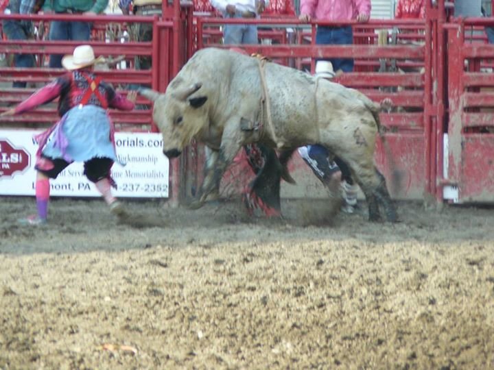 Robert Walsh's album, 2013-Central PA Rodeo