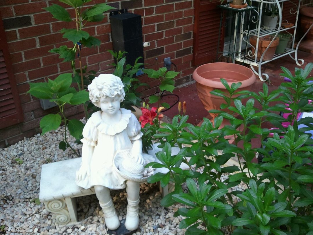 Elizabeth Kircher's album, Mobile Uploads