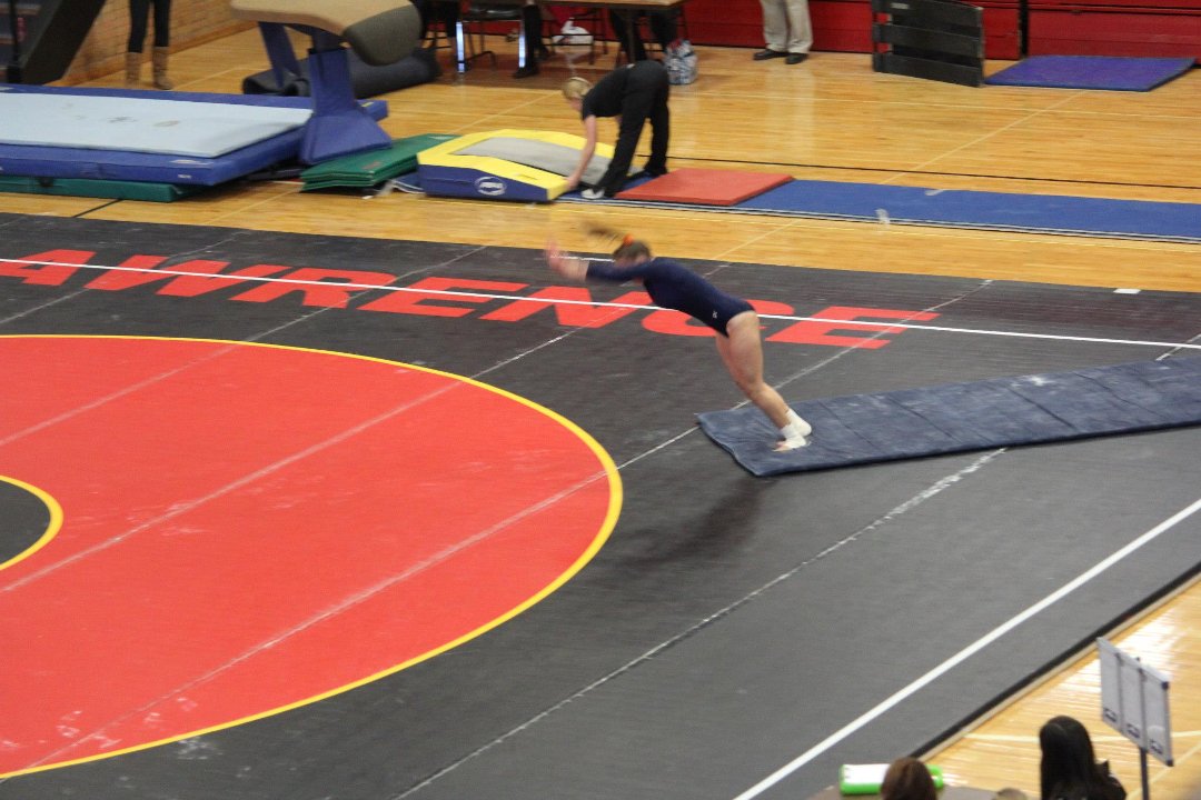 Mike Mann's album, State Gymnastics