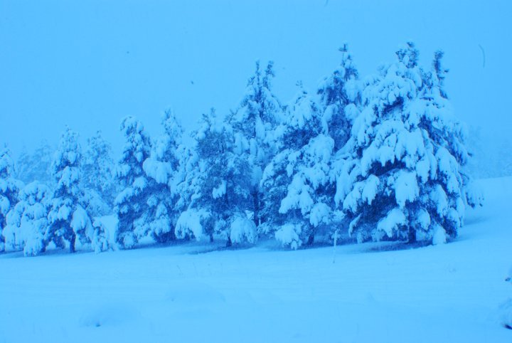 Robert Large's album, crazy weather