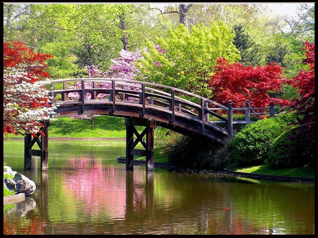 Debbie Lavacki's album, Cover Photos