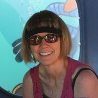 Roslyn Steele's album, Profile Pictures