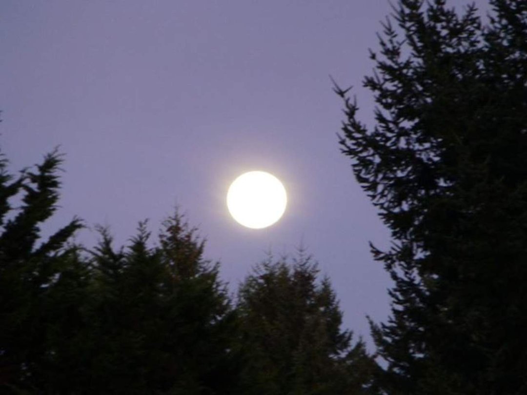 Suzanne Muller's album, Timeline Photos