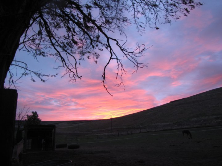 Cindi Herres' album, Life on the Farm
