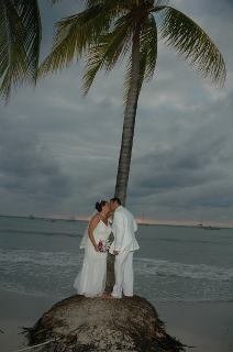 Romy Efthimos' album, Wedding Picture