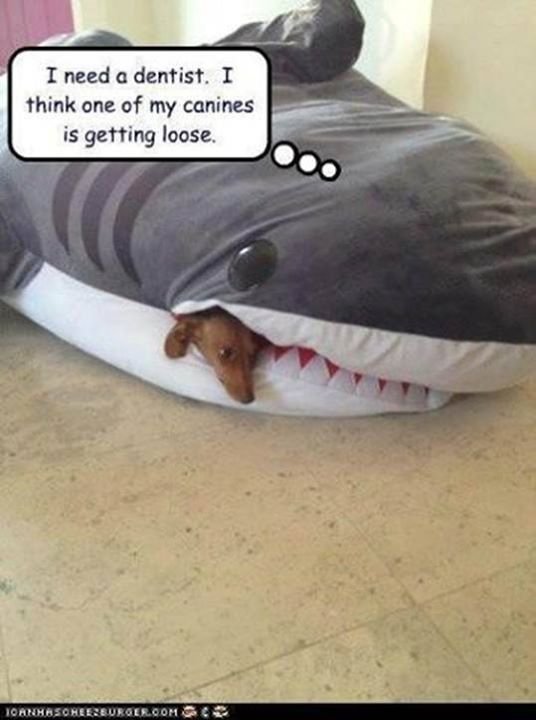 John Speight's album, Timeline Photos