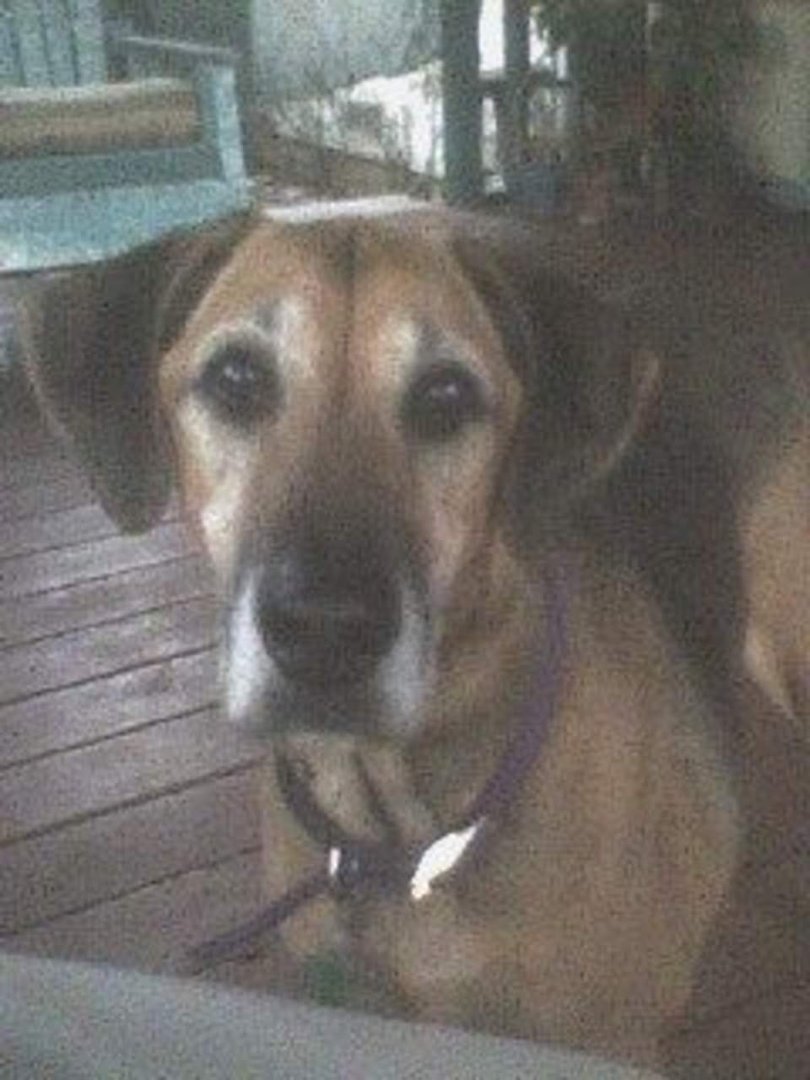 Jay Morford's album, Sadie Ladie, The Original "Roo" 1995 - 2011