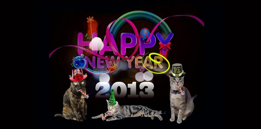 Jill Bartikowsky's album, Cover Photos