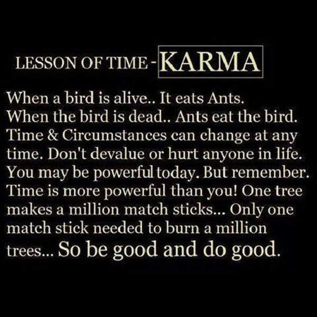 Suzanne Lanham's album, Timeline Photos